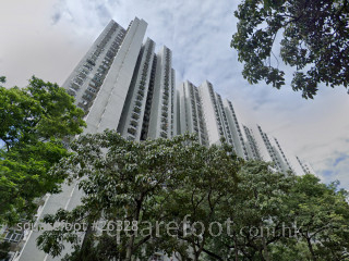Sun Hing Shopping Mall  Building