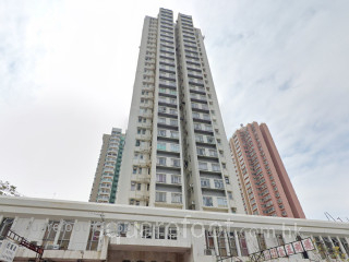 Man Bo Building Building