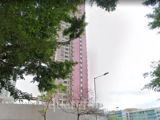 金丽苑 大厦