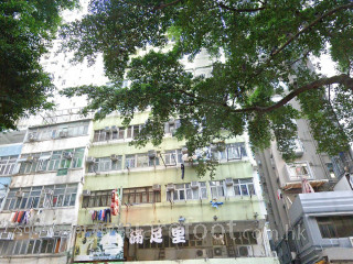 北角小楼 大厦