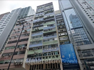 鴻星大廈 大廈