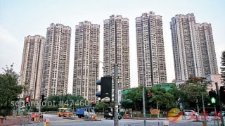 The Second-Hand Property Trading on Weekend Was Well Due to the Back Flow of Purchasing Power.