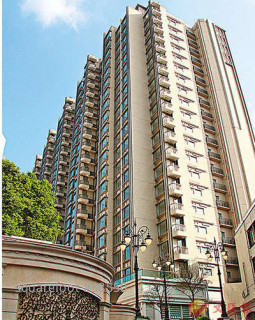 內地客豪購君柏  辣稅逾2200萬
