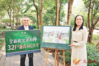 一手向好  發展商齊加價