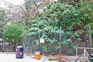 屋宇署新批11圖則