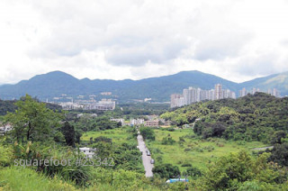 港府改划受挫 大埔少三成供应  地区阻力强劲  卖地表削620伙