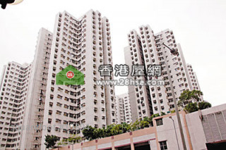 New projects hot; Home Ownership property market dull with many white form applicants abstain. 