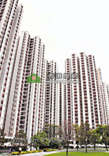 Projects in Kowloon and New Territories belonging to ten large housing projects have zero case of trading.  