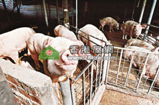 猪栏鸡棚  违法变身「廉租房」