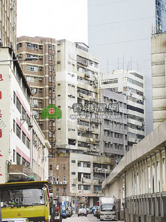 東九起動  印度炒家密集出擊