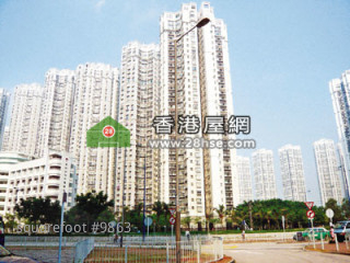 业主减价  新界交投回升