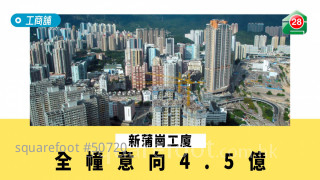 新蒲崗工廈全幢意向4.5億
