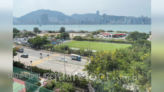 丽港城 周边环境: 伟乐街临时足球场
