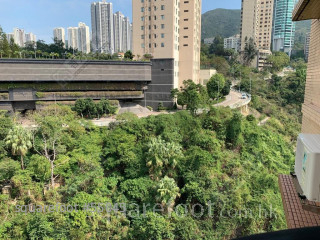 大埔 金山花園