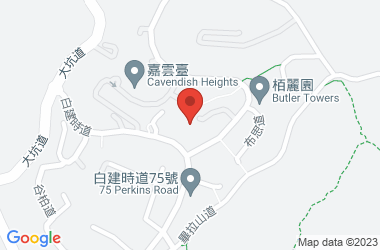 皇第