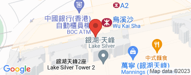 Lake Silver Map