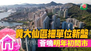 黄大仙区细单位新盘 荟鸣明年初问市