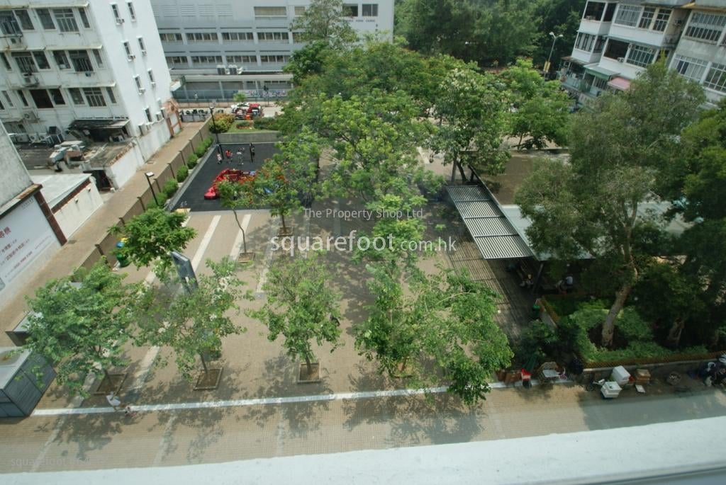 西贡市中心 租盘 2 房 , 1 浴室 700 平方尺