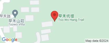 Tso Wo Hang Full Thickness, Whole block Address