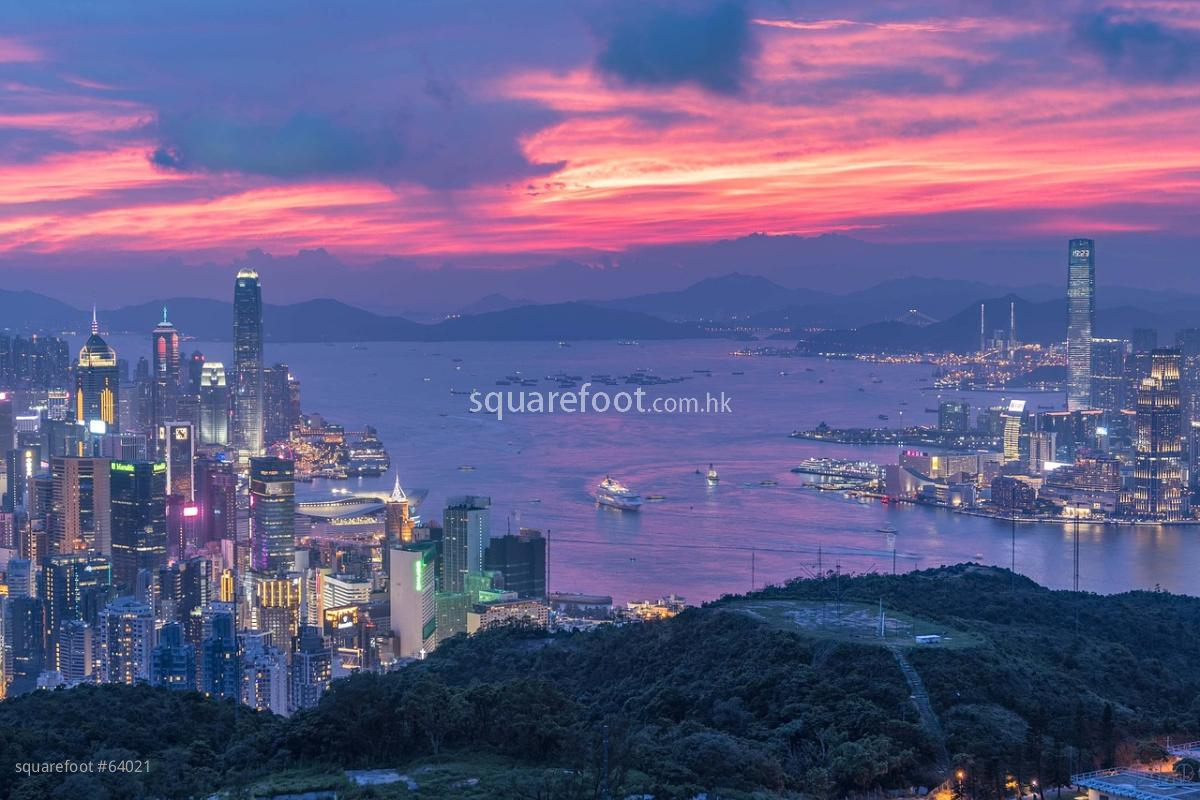 Hong Kong's Housing Market Sees Surge in Presale Applications
