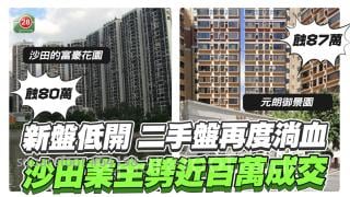 新盤低開 二手盤再度淌血　沙田業主劈近百萬成交