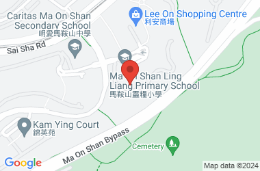 Ma On Shan Ling Liang Primary School