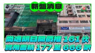 尚逸最快明開價 推161伙實用面積177至666平方呎