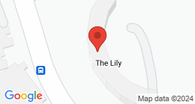 The Lily 地图