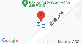 Wong Chuk Shan San Tsuen Map