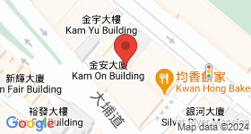 金安大廈 地圖