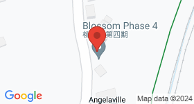 The Blossom Map