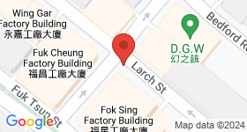 No.78 Larch Street Map