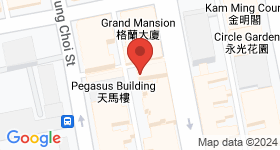 217 Fa Yuen Street Map