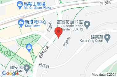东华三院黄凤翎中学
