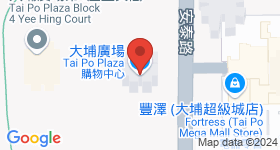 大埔廣場 地圖