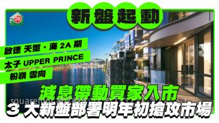 減息帶動買家入市  3大新盤部署明年初搶攻市場
