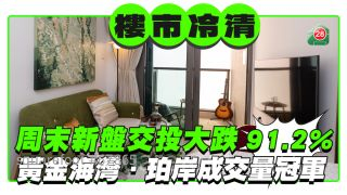農曆新年前樓市冷清 周末新盤交投大跌91.2% 創近23周新低  黃金海灣．珀岸成交量冠軍