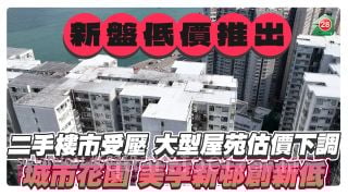 新盤低價推出二手樓市受壓 大型屋苑估價持續下調 城市花園創近年新低 美孚新邨跌至5個月最低