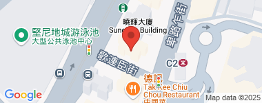 大新閣 低層 物業地址