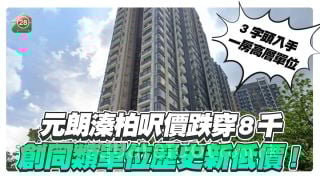 创历史新低价｜元朗溱柏尺价跌穿8千 较市价低出7%至12%沽出