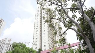 粉岭中心H座低层3房户$478万成交 升值约1.4倍
