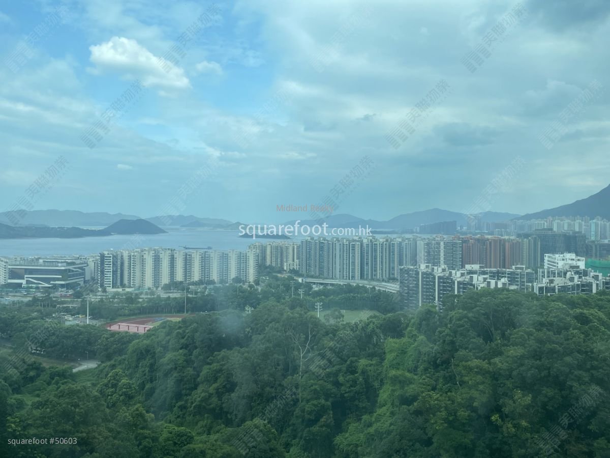Deerhill Bay Rental 3 Bedrooms , 3 Bathrooms 1,085 ft²