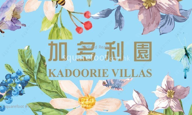 加多利園 租盤 700 平方呎