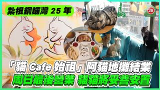 屹立铜锣湾四分一世纪｜「猫Cafe始祖」阿猫地摊结业　周日最后营业 猫咪将妥善安置