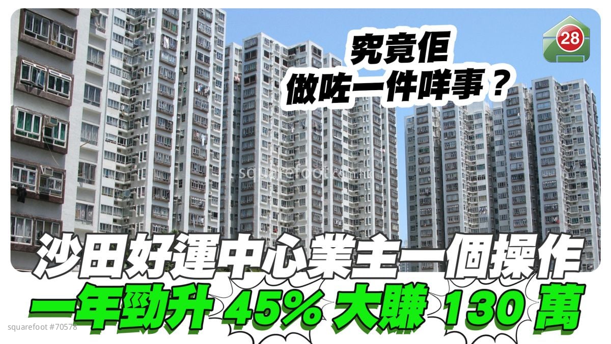 沙田好運中心業主一個操作  一年勁升45%大賺130萬