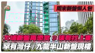 大埔新盤再添食 3球有找上車｜罕有灣仔/九龍半山新盤現樓 買細單位進駐豪宅區！