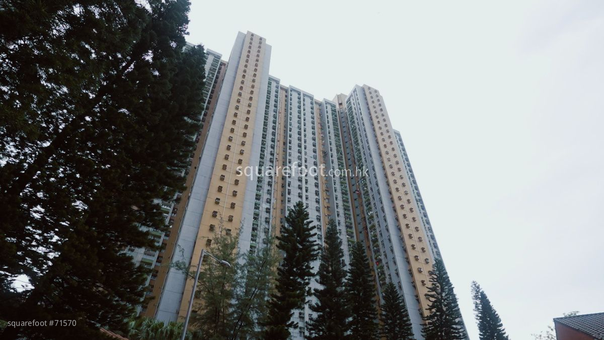 錦英苑採新十字型開則，一梯10伙，以2房及3房為主。