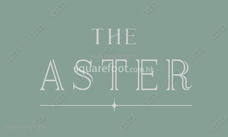 The Aster 租盘 2 房 , 1 浴室 617 平方尺