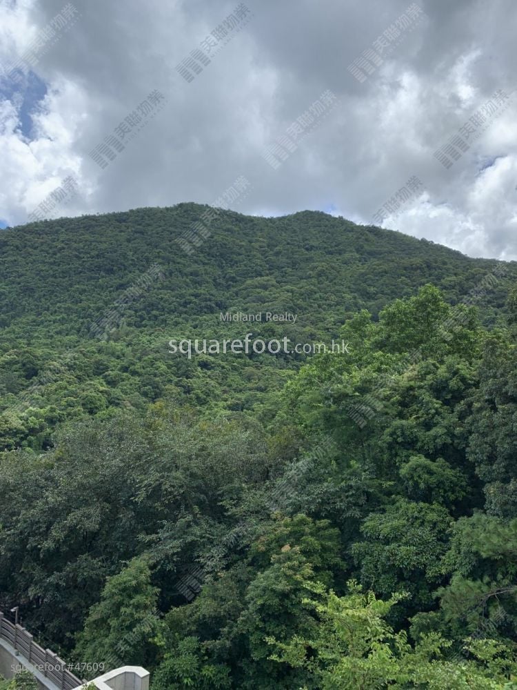 富豪山峯 售盘 4 房 , 4 浴室 1,563 平方尺