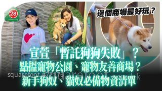 宣萱「暫託狗狗失敗」？｜點搵寵物公園、寵物友善商場？｜新手狗奴、貓奴必備物資清單
